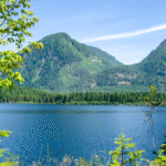 sold listings (website)