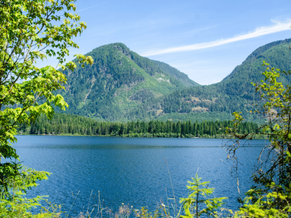 sold listings (website)