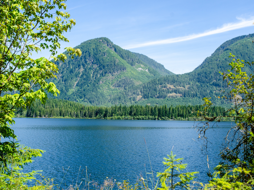 sold listings (website)